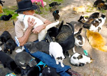 ¿Has escuchado hablar del Síndrome del Arca de Noé o la acumulación de animales?