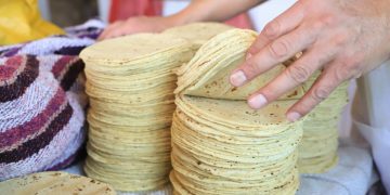“Eliminación de contratos de exclusividad de Gruma no afectará el precio final de la tortilla”: CNT