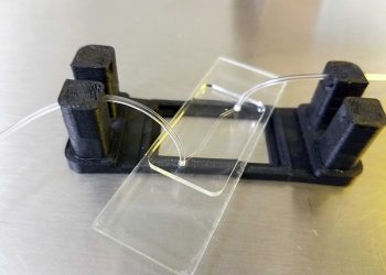 UNAM desarrolla primer hígado en un chip de Latinoamérica para pruebas farmacológicas