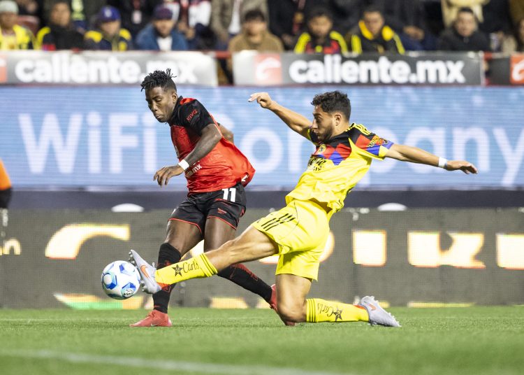 xolos