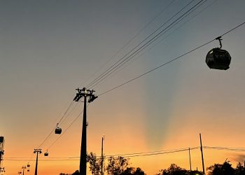 ¡Se acabó! Cupido batea a la Contingencia Ambiental