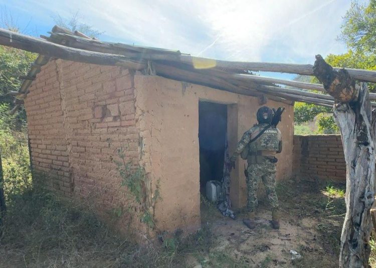 Rescatan a dos de los 6 secuestrados en Mazatlán; el Carnaval continúa afirman autoridades