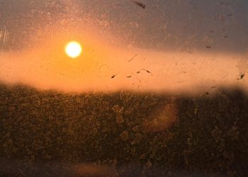 Se mantiene la Contingencia Ambiental por Ozono en el Valle de México este 17 de febrero.