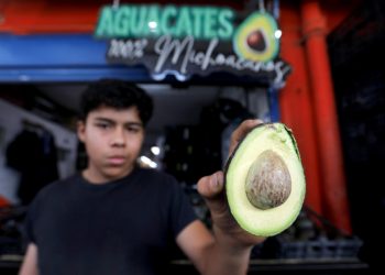 ¡Récord histórico! México inunda el Super Bowl con 127,000 toneladas de "oro verde".