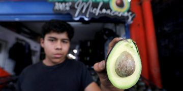 ¡Récord histórico! México inunda el Super Bowl con 127,000 toneladas de "oro verde".
