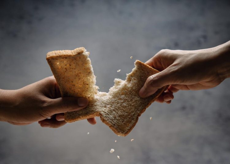 Alimentos en buen estado descartados o desperdiciados, reflejo del problema de inseguridad alimentaria en el país