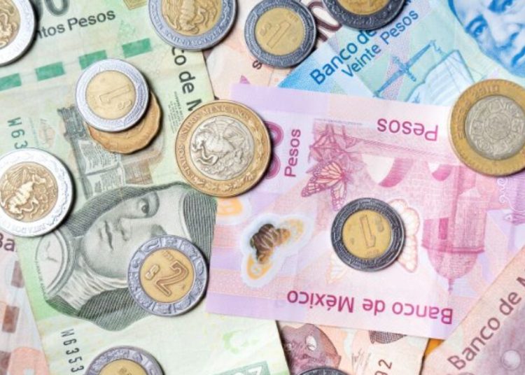 La reducción de tasas de interés apoyaría la inversión, aunque su recuperación sería gradual