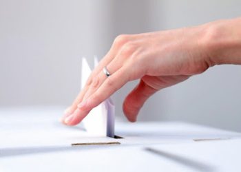 La bancada del Partido Verde en el Senado se divide ante la próxima reforma electoral