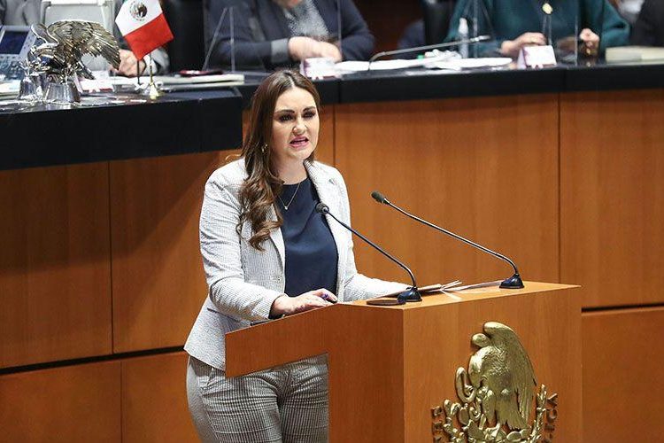 Geovanna Bañuelos, senadora del PT, asegura que la reforma electoral aún está en construcción