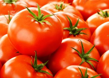 Jitomate y papa, productos que subieron de precio: INEGI