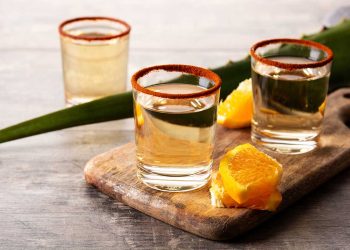 Productores de mezcal artesanal enfrentan mayores costos frente a bebidas industriales