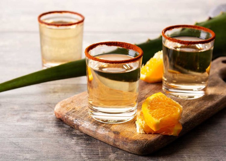 Productores de mezcal artesanal enfrentan mayores costos frente a bebidas industriales