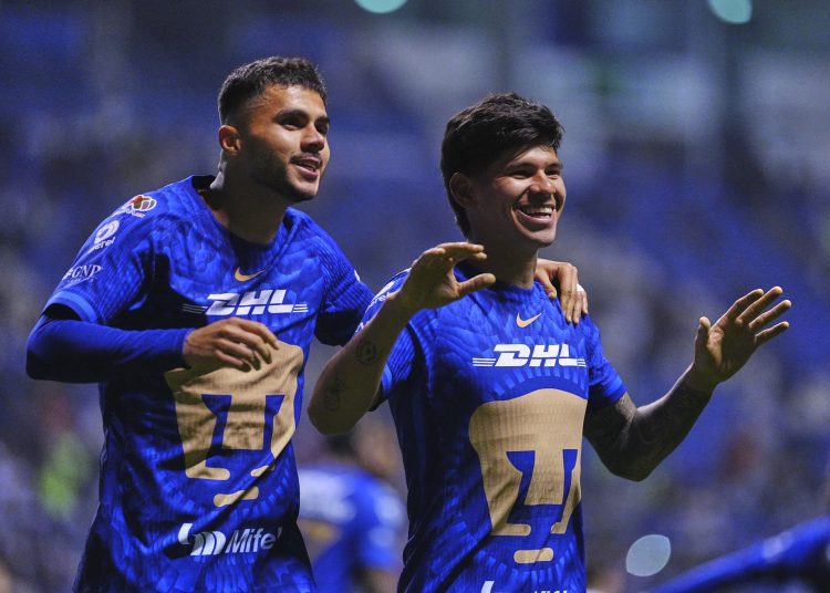 pumas