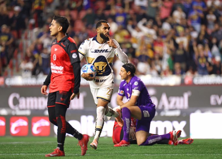 pumas