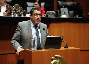 Saúl Monreal en el Senado de la República durante una sesión legislativa