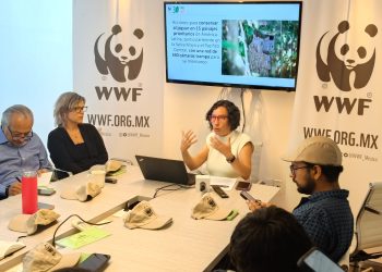 María José Villanueva, directora de WWF México, presentando la campaña "Sé un héroe Panda"