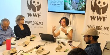 María José Villanueva, directora de WWF México, presentando la campaña "Sé un héroe Panda"