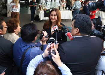 ¿Fractura en la 4T? PT y PVEM rompen el silencio sobre su alianza con Morena