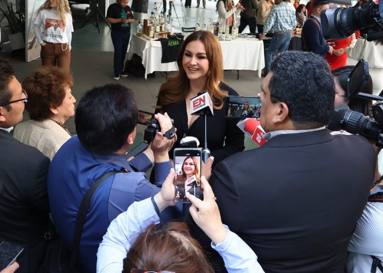 ¿Fractura en la 4T? PT y PVEM rompen el silencio sobre su alianza con Morena