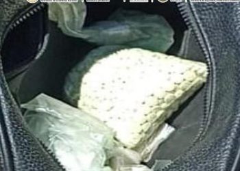 Aseguran en Sinaloa más de 100 mil pastillas de fentanilo