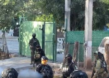 Un detenido tras operativo en El Álamo; liberan a hija de "El Mayo"