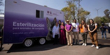 La meta de Clara Brugada: una ciudad sin animales abandonados