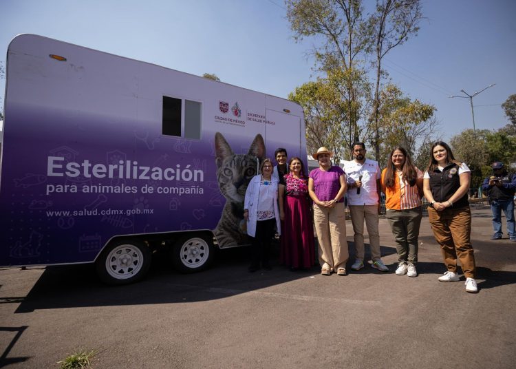 ¿Tienes mascota? CDMX tendrá clínicas veterinarias gratuitas y nuevos parques para perros