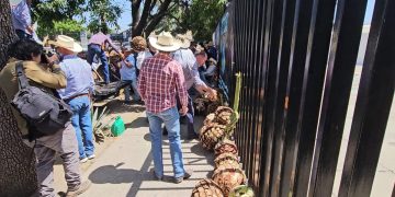 Jalisco: Productores cierran avenidas con tractores y protestan en la Sader