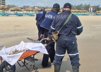 Playa Miramar lista para Semana Santa: Semar limpia restos de "chapapote" en la costa