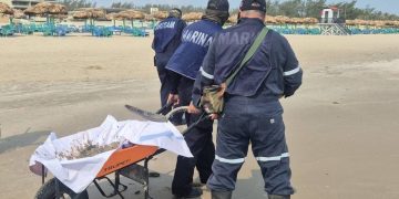 Playa Miramar lista para Semana Santa: Semar limpia restos de "chapapote" en la costa