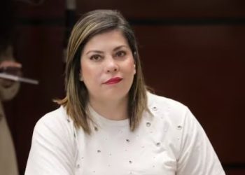 La legisladora del PT aseguró que ha sido víctima de ciberacoso en los últimos días, previo a la discusión de la reforma electoral