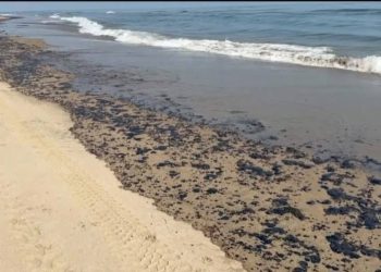Greenpeace México reporta múltiples puntos de contaminación en el Golfo de México