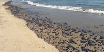 Greenpeace México reporta múltiples puntos de contaminación en el Golfo de México