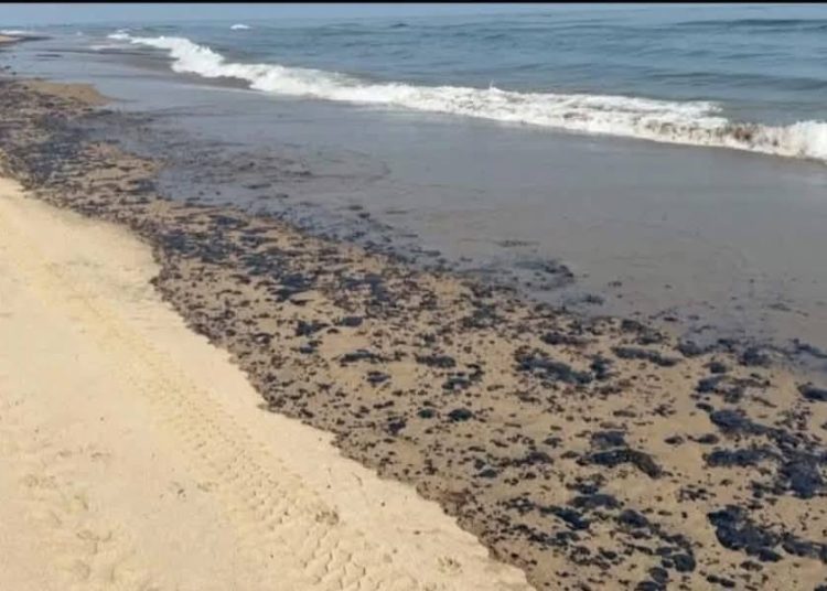Greenpeace México reporta múltiples puntos de contaminación en el Golfo de México