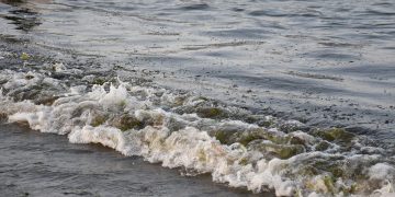 Veracruz inicia entrega de apoyos a pescadores afectados por derrame de hidrocarburo