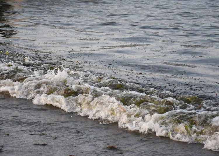 Veracruz inicia entrega de apoyos a pescadores afectados por derrame de hidrocarburo