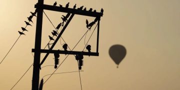 Un globo aerostático se precipitó tras chocar con cables de alta tensión en Acolmán