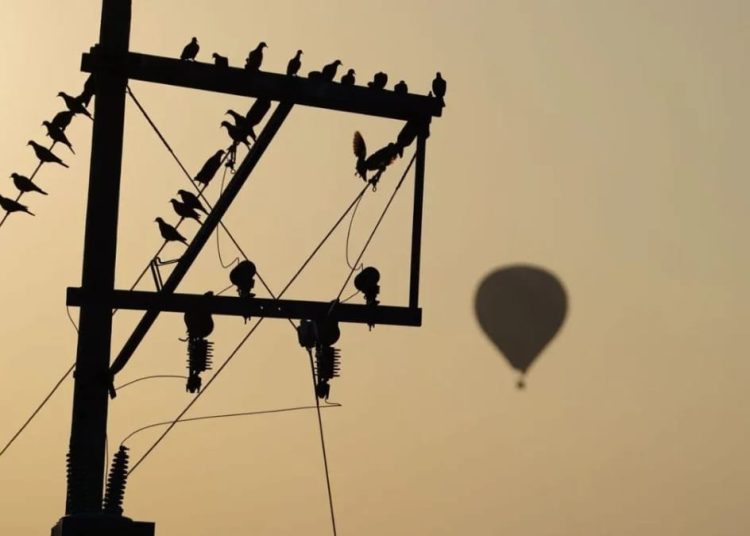 Un globo aerostático se precipitó tras chocar con cables de alta tensión en Acolmán
