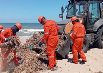 Gobierno de México concluye contención de hidrocarburo en el Golfo; limpieza en playas alcanza 85%