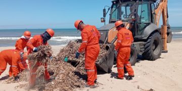 Gobierno de México concluye contención de hidrocarburo en el Golfo; limpieza en playas alcanza 85%