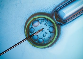 ¿Qué es la fecundación in vitro? Así funciona la técnica de reproducción asistida