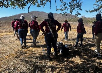 Localizan nueva fosa en El Verde, Sinaloa; suman 15 cuerpos en menos de un mes