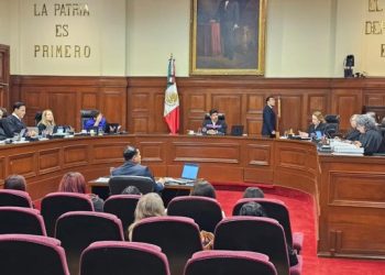 Ministra de la Corte genera polémica por comentario sobre personas nacidas “in vitro”