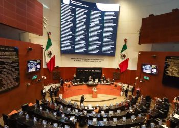 Senadores del Partido Verde Ecologista de México expresaron su respaldo al Plan B propuesto por la presidenta Claudia Sheinbaum