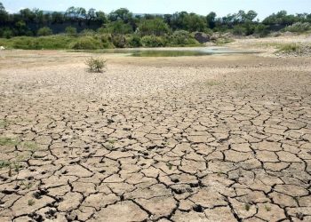 Sequía en Nuevo León enciende alertas: municipios ya registran niveles extremos