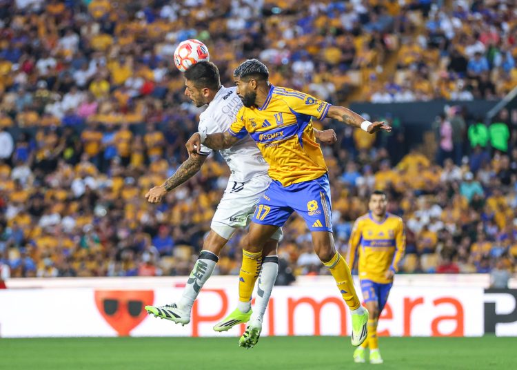 tigres
