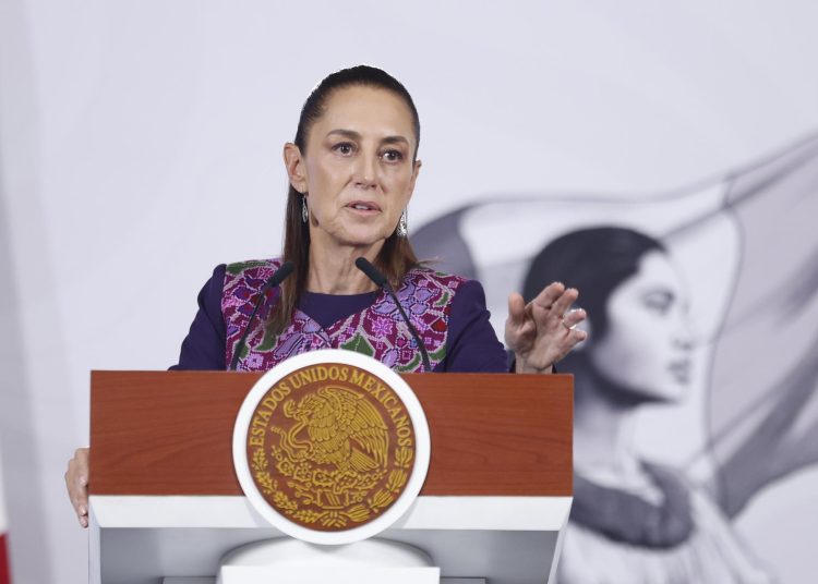 Sheinbaum propone revisar normas tras sacrificio de 10 mil perros en Tecámac
