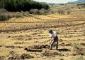PROFEPA y el sector agrario se unen contra cambios ilegales de uso de suelo