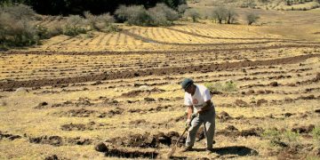 PROFEPA y el sector agrario se unen contra cambios ilegales de uso de suelo