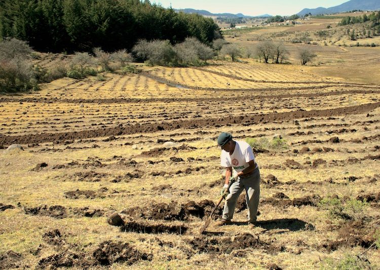 PROFEPA y el sector agrario se unen contra cambios ilegales de uso de suelo